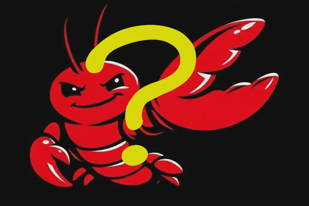 OpenClaw大行其道，我来唱唱反调 - 第二章
